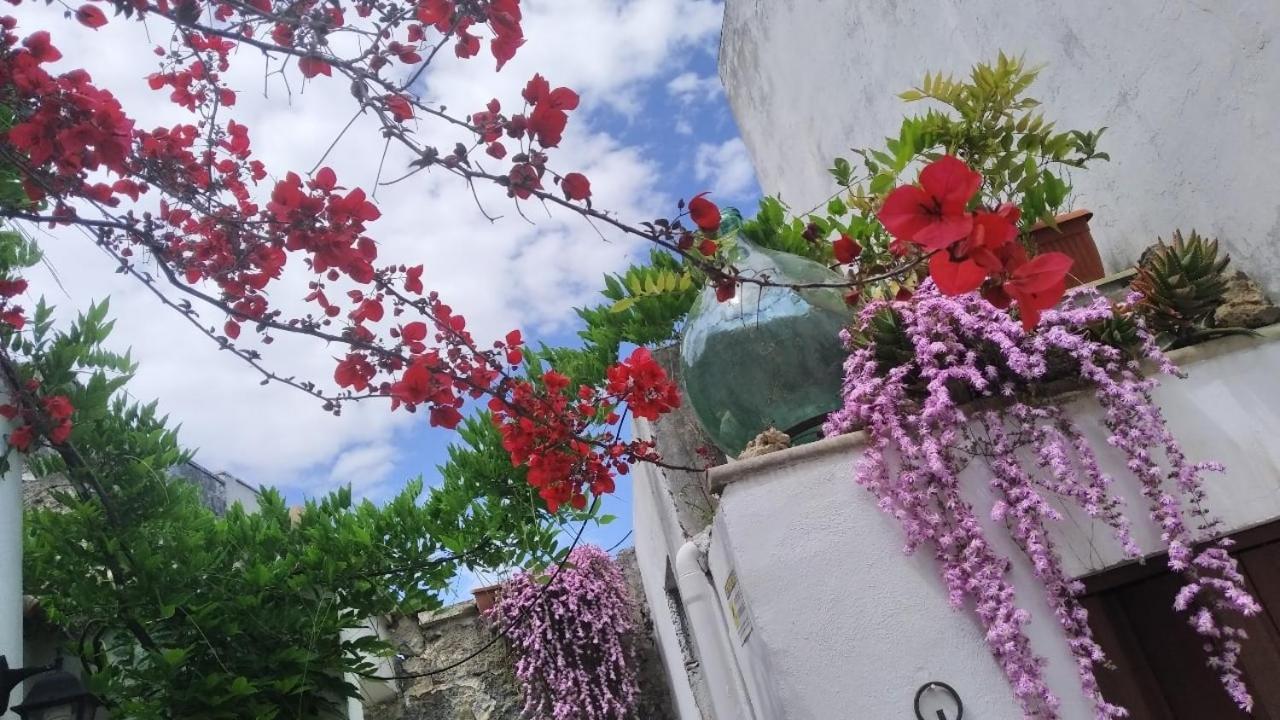 Ferienwohnung La Dimora Della Nonna Rosina Galatone Exterior foto