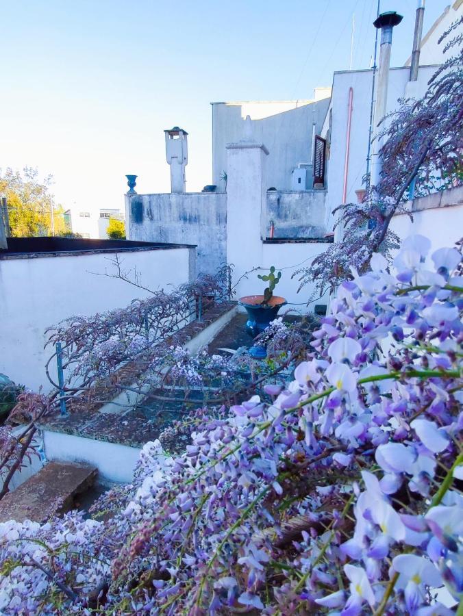 Ferienwohnung La Dimora Della Nonna Rosina Galatone Exterior foto